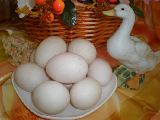 Nam-Seng-Food-Industries-Fresh-Duck-Eggs.jpg