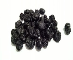 ORIION Dried Blueberries